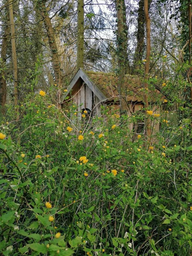 Ferienwohnung Ehemalige Revierfoersterei "Uns Luett" Kuhstorf エクステリア 写真