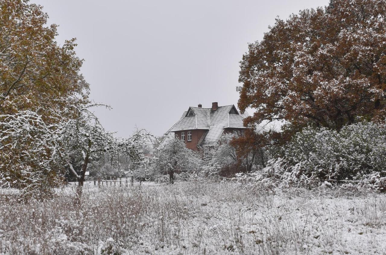 Ferienwohnung Ehemalige Revierfoersterei "Uns Luett" Kuhstorf エクステリア 写真